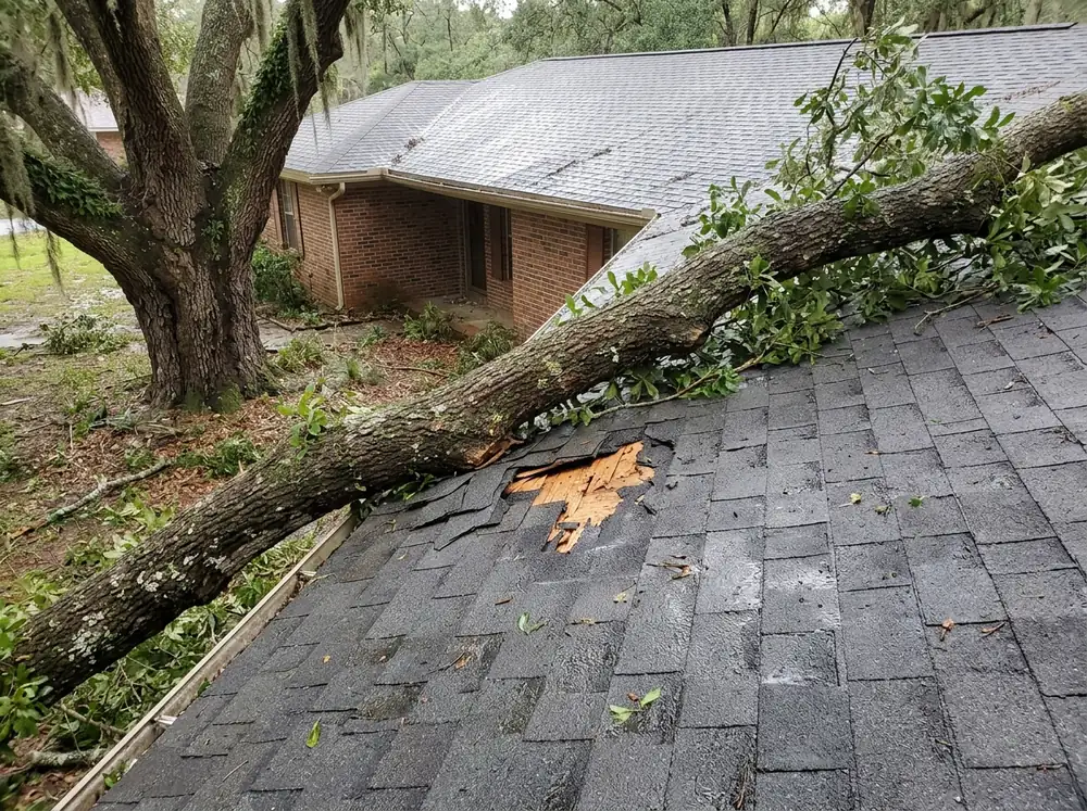 Large oak limb lying across a shingle roof with a broken patch of shingles and splintered decking beneath it